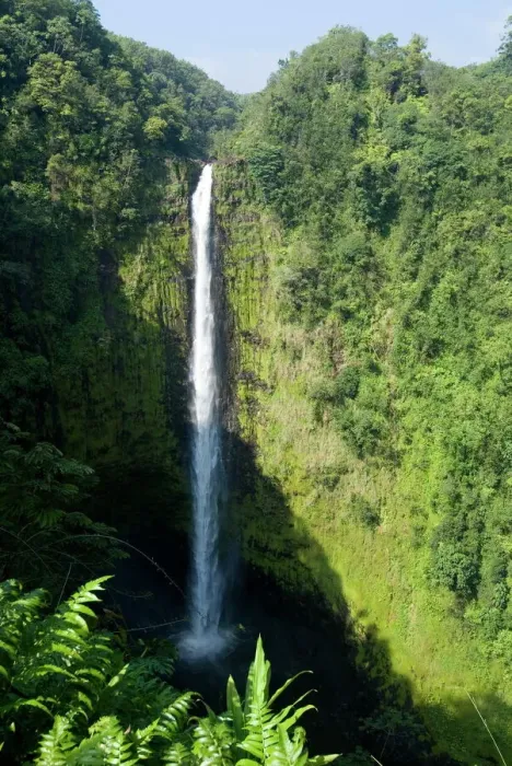 Gerahmter Druck : Akkafälle auf der Insel Hawaiʻi (Großinsel), Hawaii Gerahmter Druck : Akkafälle auf der Insel Hawaiʻi (Großinsel), Hawaii