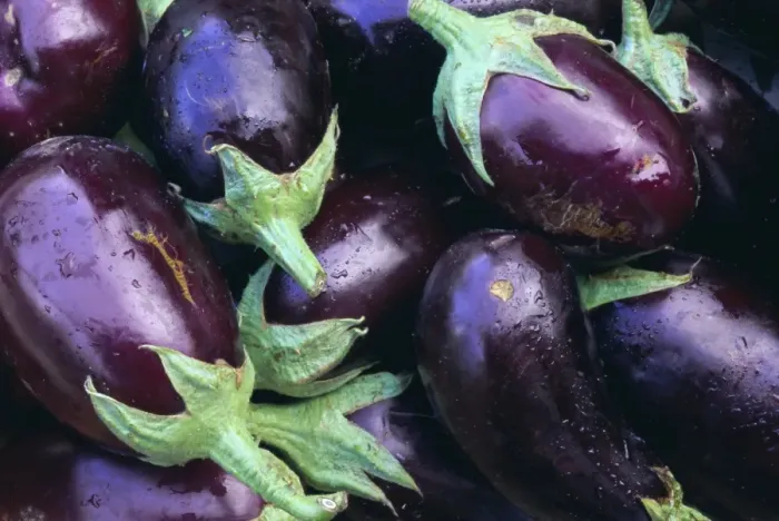 Gerahmter Druck : Aubergines Gerahmter Druck : Aubergines