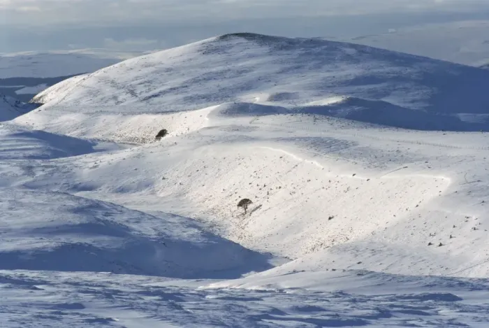 Gerahmter Druck : Die Käregormer im Winter Gerahmter Druck : Die Käregormer im Winter