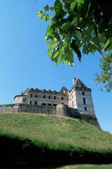 Gerahmter Druck : Schloss am Biron Gerahmter Druck : Schloss am Biron