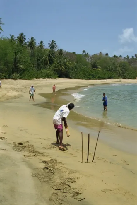 Gerahmter Druck : Kricket am Strand Gerahmter Druck : Kricket am Strand