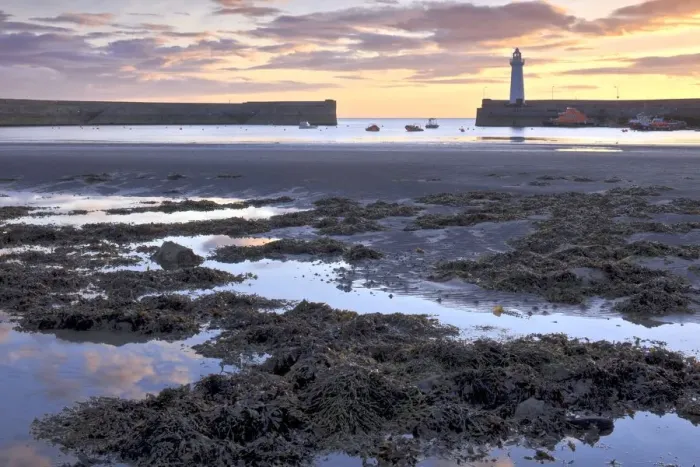 Gerahmter Druck : Hafen Donaghadee, Grafschaft Down, Ulster Nordirland Vereinigtes Königreich Europa Gerahmter Druck : Hafen Donaghadee, Grafschaft Down, Ulster Nordirland Vereinigtes Königreich Europa