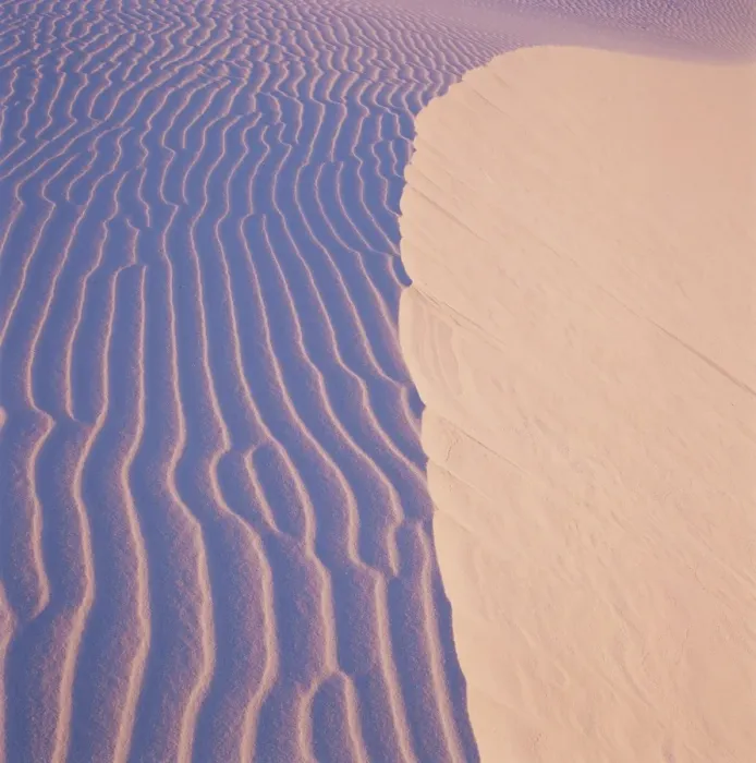 Gerahmter Druck : Sanddünen am Morgen Gerahmter Druck : Sanddünen am Morgen