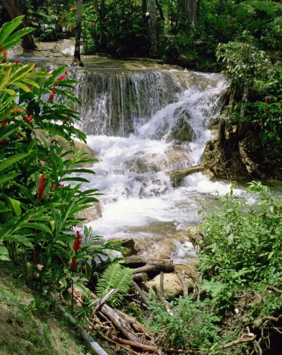 Gerahmter Druck : Dunns River Falls Gerahmter Druck : Dunns River Falls