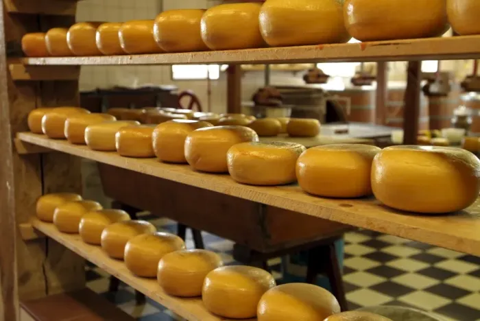 Gerahmter Druck : Niederländischer Käse Gerahmter Druck : Niederländischer Käse