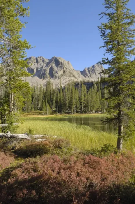 Gerahmter Druck : Farben der Herbstzeit um den Lower Cramer See, Kette der Sawtooth-Berge im Nationalpark des Great-Saw-tooth-Wilderness Gerahmter Druck : Farben der Herbstzeit um den Lower Cramer See, Kette der Sawtooth-Berge im Nationalpark des Great-Saw-tooth-Wilderness