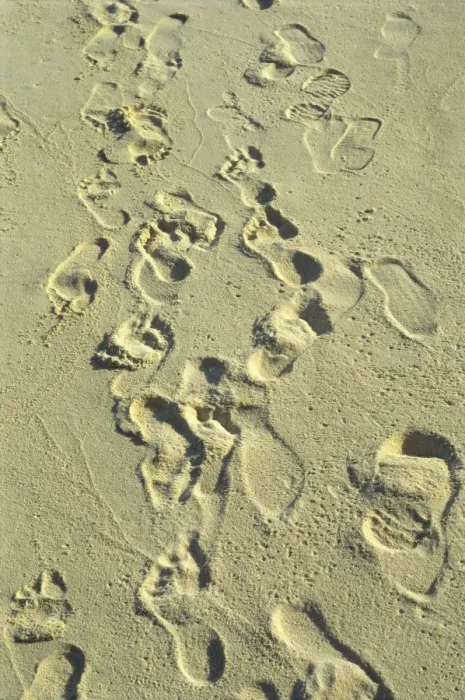 Gerahmter Druck : Fußabdrücke im Sand am Strand Gerahmter Druck : Fußabdrücke im Sand am Strand