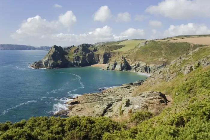 Gerahmter Druck : Gammon Head, Prawle Point, Devon Coast Path, South Hams, Devon, England Übersetzung: Gammon Head , Prawle Point , Devon - Küstenweg , Süd-Hams , Devon , England Gerahmter Druck : Gammon Head, Prawle Point, Devon Coast Path, South Hams, Devon, England Übersetzung: Gammon Head , Prawle Point , Devon - Küstenweg , Süd-Hams , Devon , England