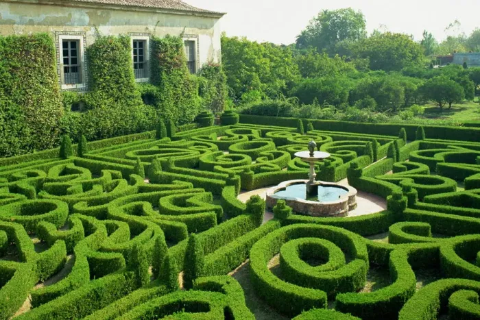 Gerahmter Druck : Gartenzwinger Gerahmter Druck : Gartenzwinger
