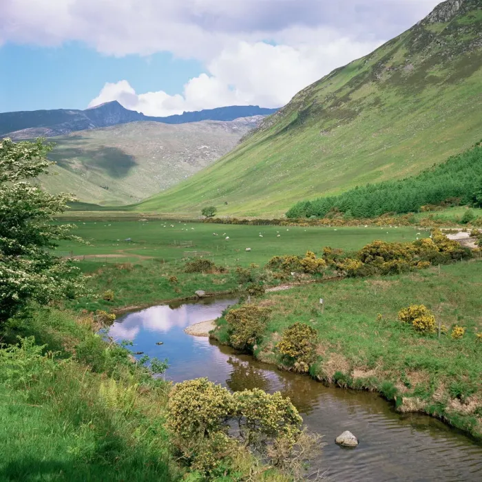 Gerahmter Druck : Glen Rosen, Insel von Arran Gerahmter Druck : Glen Rosen, Insel von Arran