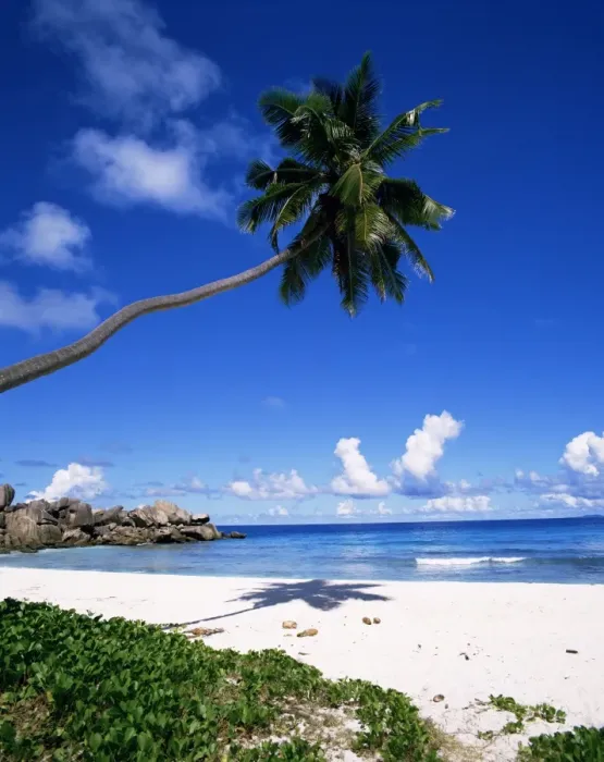 Gerahmter Druck : Grande-Anse Gerahmter Druck : Grande-Anse