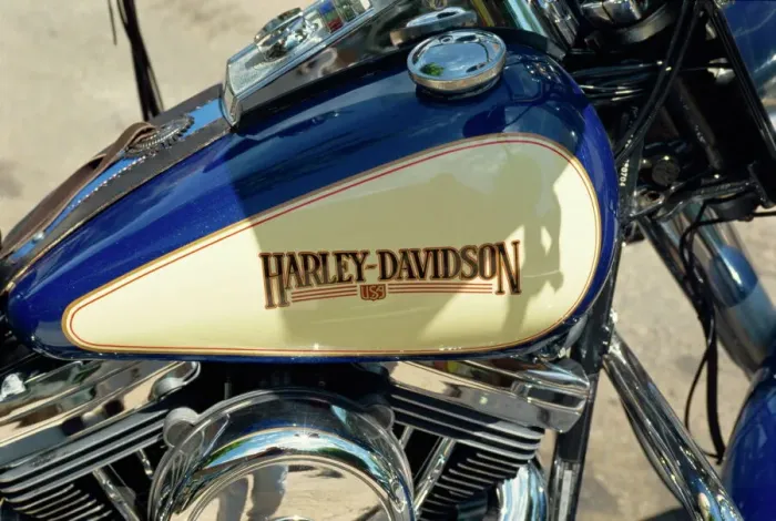 Gerahmter Druck : Harley-Davidson-Motorrad Gerahmter Druck : Harley-Davidson-Motorrad