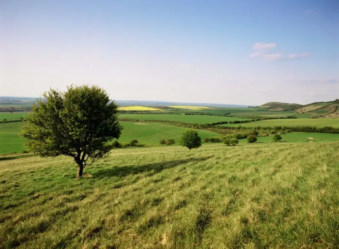 Gerahmter Druck : Ivinghöher Beacoun vom Ridgeway Pfad, Chiltern-Hügel, Buckinghamshire