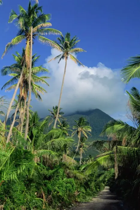 Gerahmter Druck : Bildlandschaft, Nevis Gerahmter Druck : Bildlandschaft, Nevis