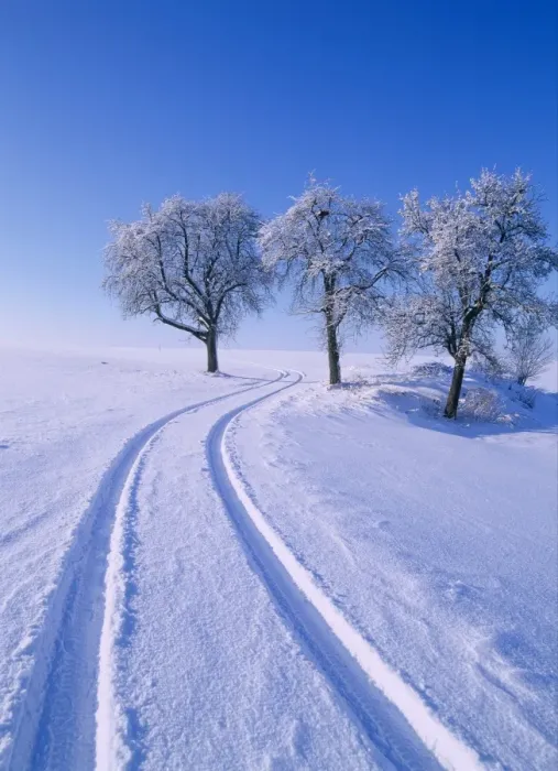 Gerahmter Druck : Winterlandschaft Gerahmter Druck : Winterlandschaft