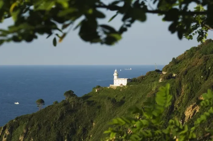 Gerahmter Druck : Felsige Leuchtturm Gerahmter Druck : Felsige Leuchtturm