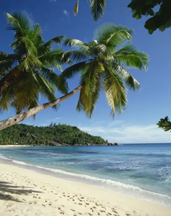 Gerahmter Druck : Mauritius, Seychellen