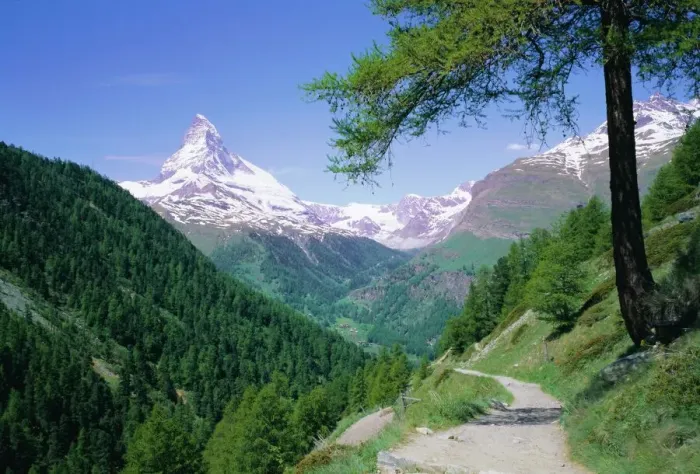 Gerahmter Druck : Der Matterhorn Gerahmter Druck : Der Matterhorn
