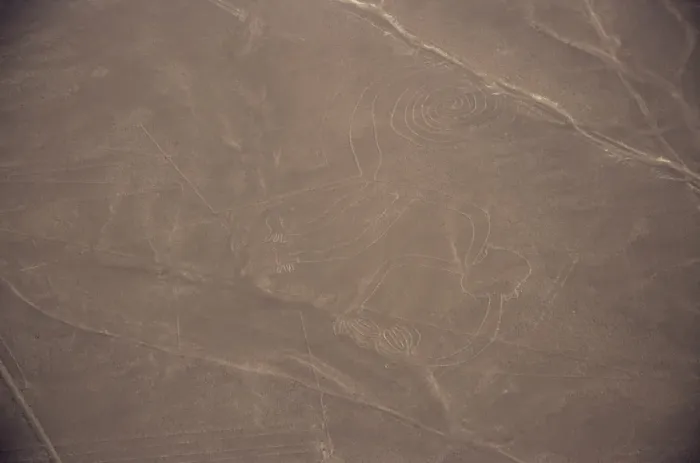 Gerahmter Druck : Affe, Nazca-Linien Gerahmter Druck : Affe, Nazca-Linien