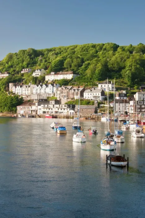 Gerahmter Druck : Morgenlicht am Fluss Looe in Looe, Kornwall, England, Vereinigtes Königreich Europäische Union Gerahmter Druck : Morgenlicht am Fluss Looe in Looe, Kornwall, England, Vereinigtes Königreich Europäische Union