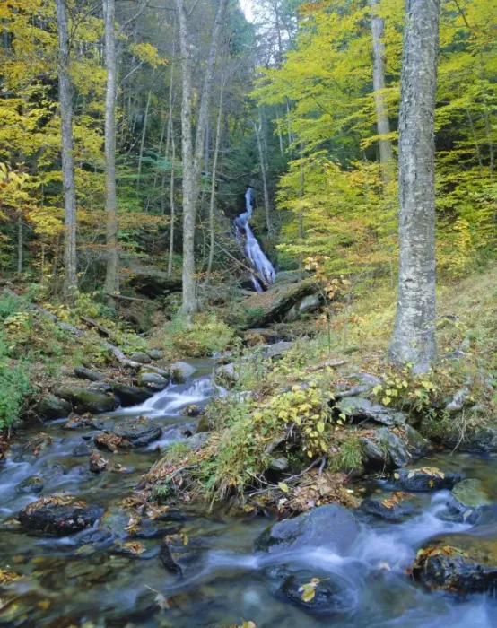 Gerahmter Druck : Moosgleng-Fälle Gerahmter Druck : Moosgleng-Fälle
