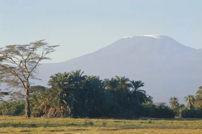 Gerahmter Druck : Kilimanjaro Gerahmter Druck : Kilimanjaro