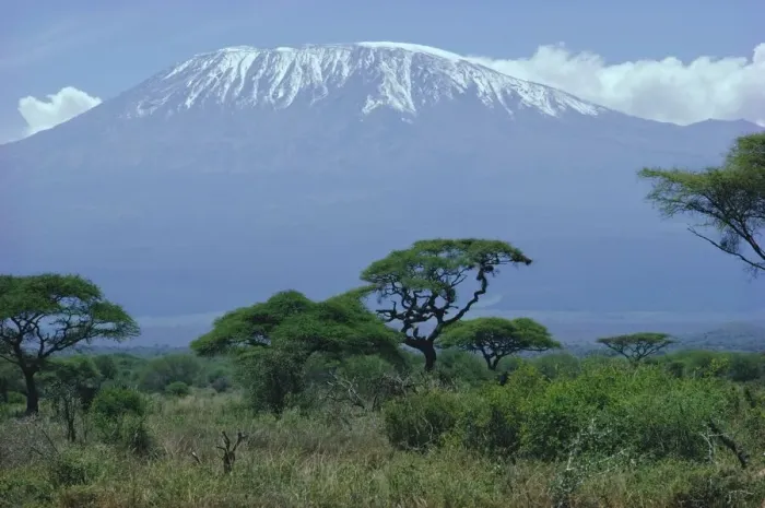 Gerahmter Druck : Kilimanjaro Gerahmter Druck : Kilimanjaro