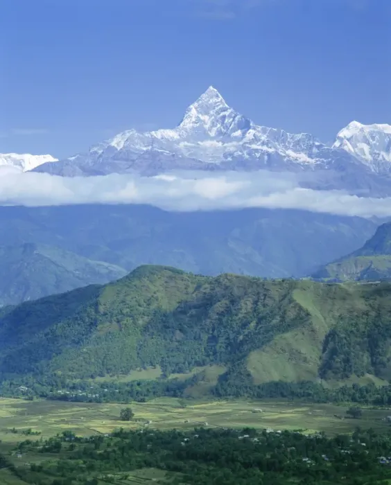 Gerahmter Druck : Mount Machhapuchhare (Machapuchare) oder Fischschwanzberg Gerahmter Druck : Mount Machhapuchhare (Machapuchare) oder Fischschwanzberg