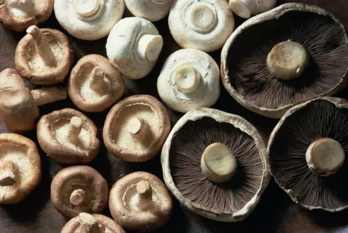 Gerahmter Druck : Mushrooms Gerahmter Druck : Mushrooms