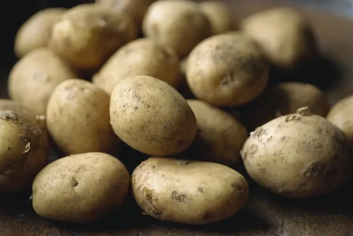 Gerahmter Druck : Neue Kartoffeln Gerahmter Druck : Neue Kartoffeln