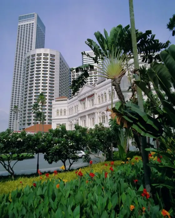 Gerahmter Druck : Raffles Hotel Gerahmter Druck : Raffles Hotel