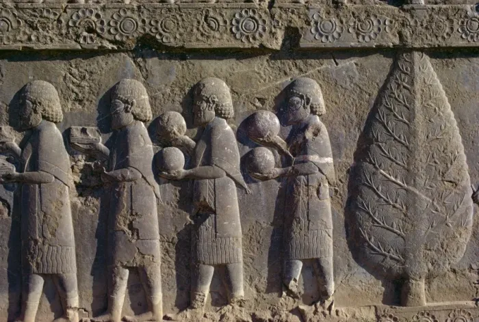Gerahmter Druck : Reliefs, Persepolis Gerahmter Druck : Reliefs, Persepolis