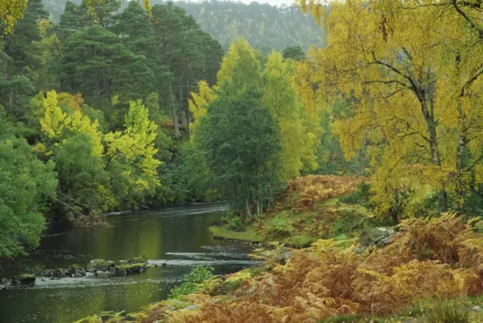 Gerahmter Druck : Fluss Farrar Gerahmter Druck : Fluss Farrar