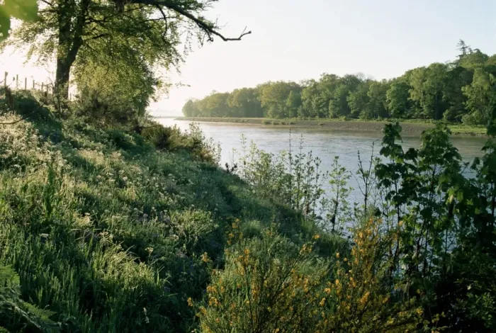 Gerahmter Druck : Fluss Tay am Caputh-Bach Gerahmter Druck : Fluss Tay am Caputh-Bach
