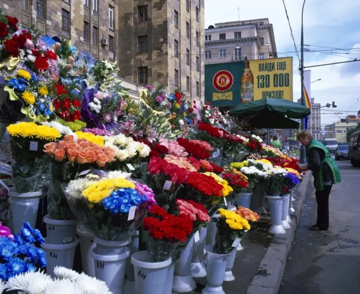 Gerahmter Druck : Straßenblumenständer Gerahmter Druck : Straßenblumenständer