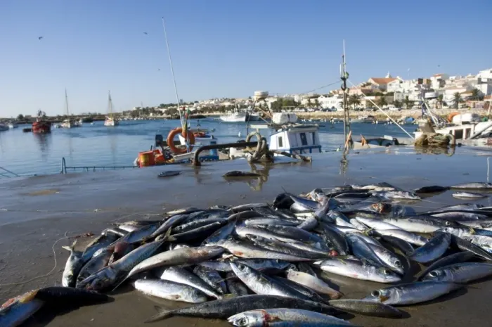 Gerahmter Druck : Sardinien, Lagos