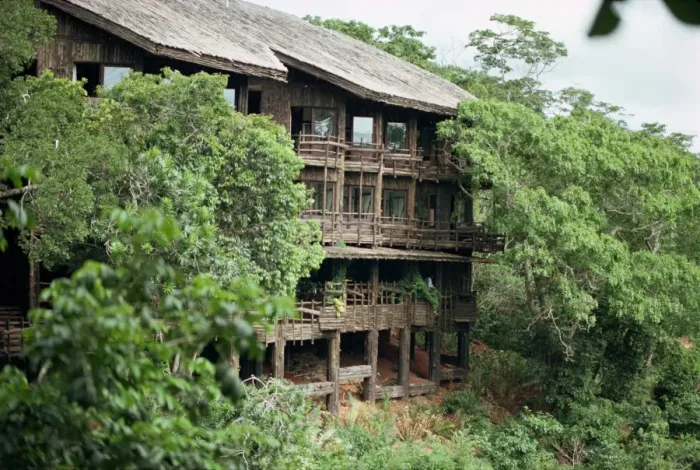 Gerahmter Druck : Shimba, Kenia Gerahmter Druck : Shimba, Kenia
