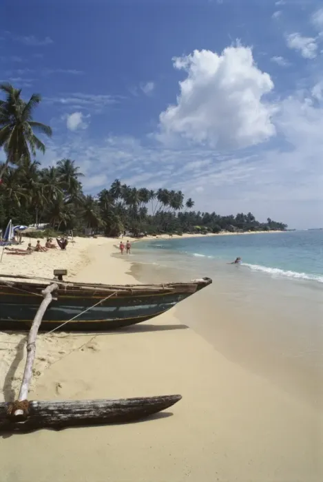 Gerahmter Druck : Südküste. Küste Südostindien nahe von Gall in Sri Lanka im Indischen Ozean Asien Gerahmter Druck : Südküste. Küste Südostindien nahe von Gall in Sri Lanka im Indischen Ozean Asien