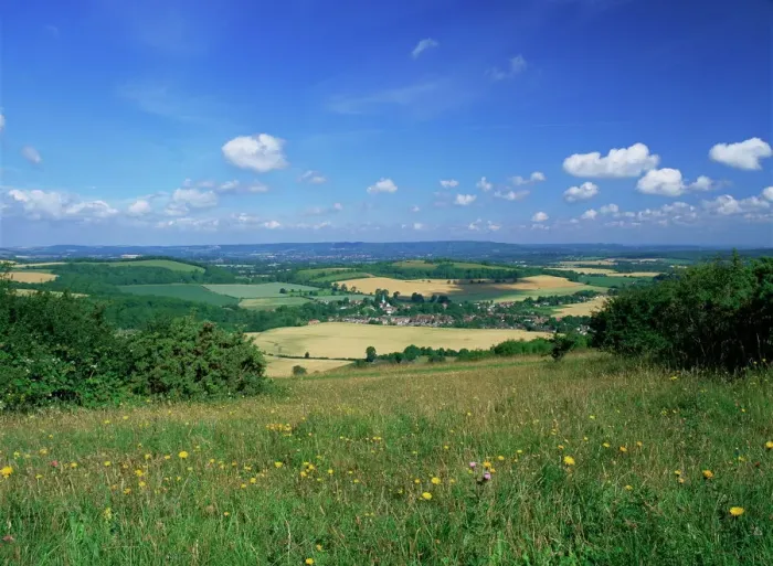 Gerahmter Druck : Süd-Harting von der Süd-Downs-Weg, Hartings Berg in West-Sussex im Vereinigten Königreich Gerahmter Druck : Süd-Harting von der Süd-Downs-Weg, Hartings Berg in West-Sussex im Vereinigten Königreich