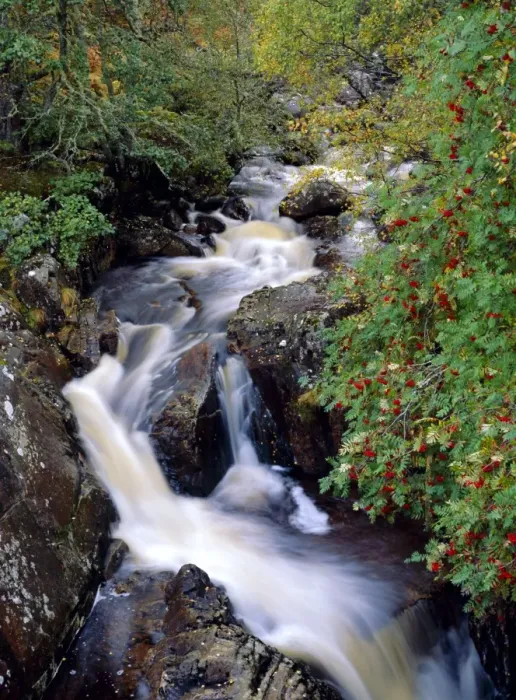 Gerahmter Druck : Bach, Glencoe Gerahmter Druck : Bach, Glencoe