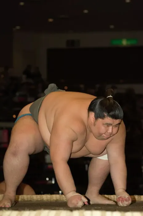 Gerahmter Druck : Kampfsportler im Sumowresten Gerahmter Druck : Kampfsportler im Sumowresten
