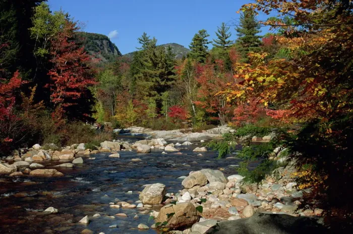 Gerahmter Druck : Der Swift River im Herbst Gerahmter Druck : Der Swift River im Herbst
