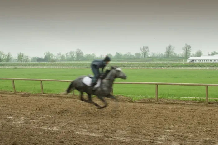 Gerahmter Druck : Das Thoroughbred Center Gerahmter Druck : Das Thoroughbred Center