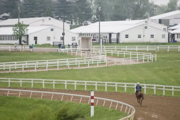 Gerahmter Druck : Das Zentrum der Thoroughbreds