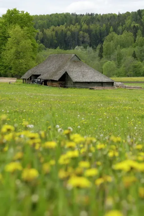 Gerahmter Druck : typischer lettischer Bauernhof Gerahmter Druck : typischer lettischer Bauernhof