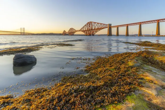 Gerahmter Druck : Blick auf die Forth-Road-Bridge, den Queensferry-Crossing und die Firth-of-Forth-Brücke Gerahmter Druck : Blick auf die Forth-Road-Bridge, den Queensferry-Crossing und die Firth-of-Forth-Brücke