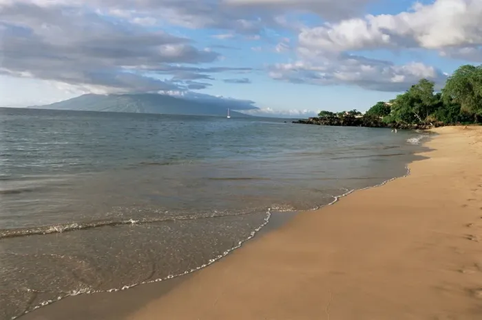Gerahmter Druck : Wailea Strand Gerahmter Druck : Wailea Strand