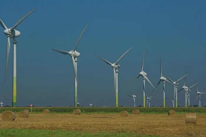 Gerahmter Druck : Windturbinen Gerahmter Druck : Windturbinen