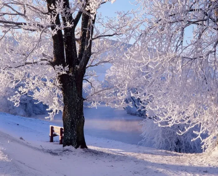 Gerahmter Druck : Winterszene am Fluss Tay Gerahmter Druck : Winterszene am Fluss Tay