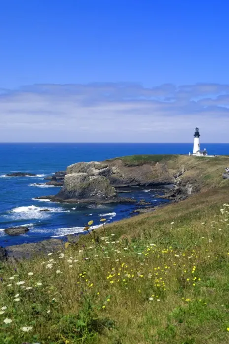 Gerahmter Druck : Yaquina-Head-Leuchtturm, Oregon, Vereinigte Staaten von Amerika Nordamerika Gerahmter Druck : Yaquina-Head-Leuchtturm, Oregon, Vereinigte Staaten von Amerika Nordamerika